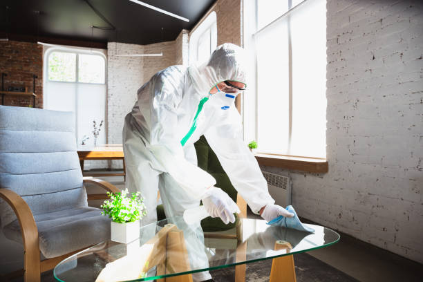 Why You Should Choose Our Mold Remediation Services in Queens Gate, PA